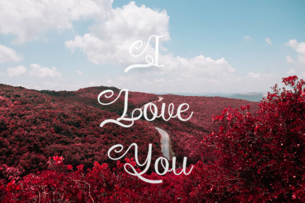 Cedurio - Calligraphy Font - Image 4