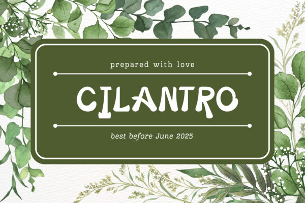 Ditmos - Display Font - Image 2