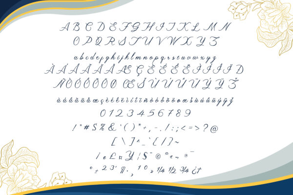 Gidya - Calligraphy Font - Image 5
