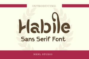 Habile - Sans Serif Font