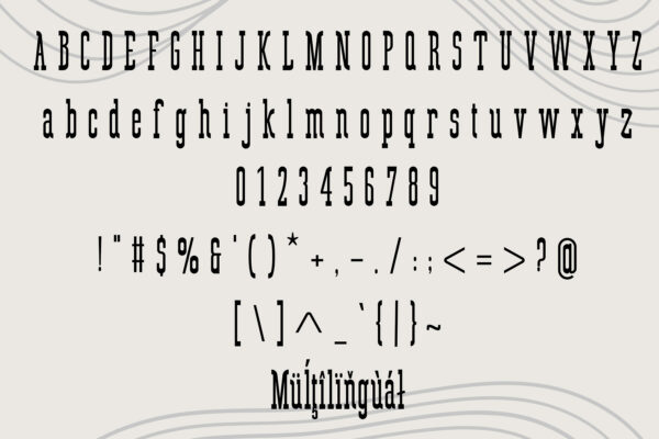 Esmarelle – Slab Serif Font - Image 5