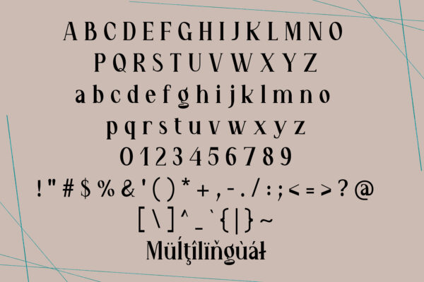 Wendric Vale - Serif Font - Image 5
