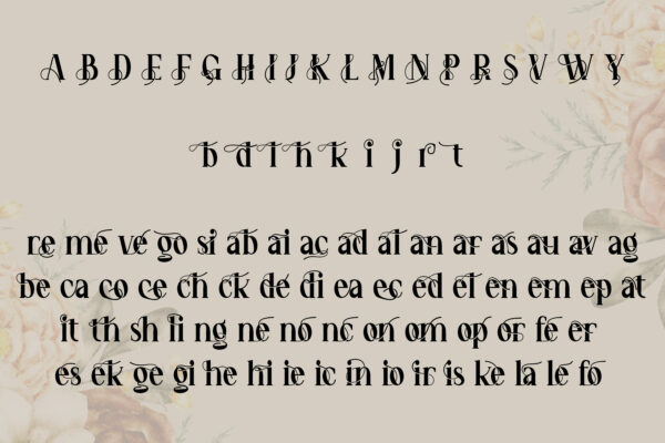 Wendric Vale - Serif Font - Image 6