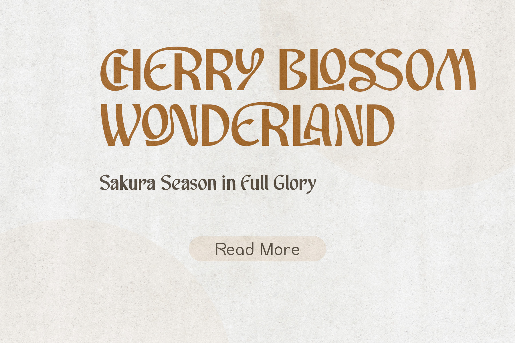 Neroshay - Sans Serif Font - Image 7