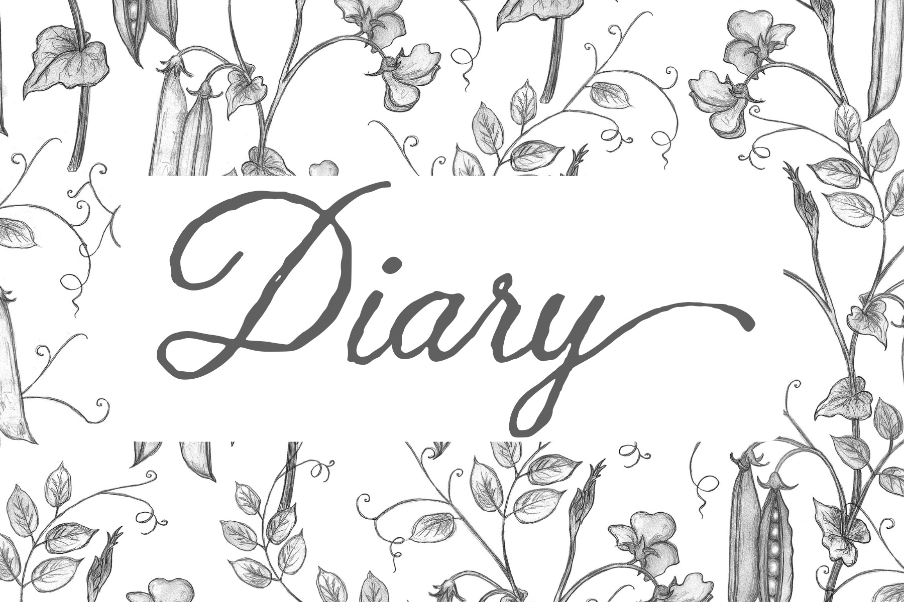 Sacoley Script Font - Image 7