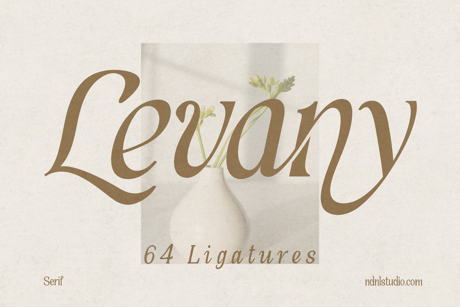 Levany - Serif Font