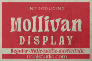 Mollivan - Serif Font