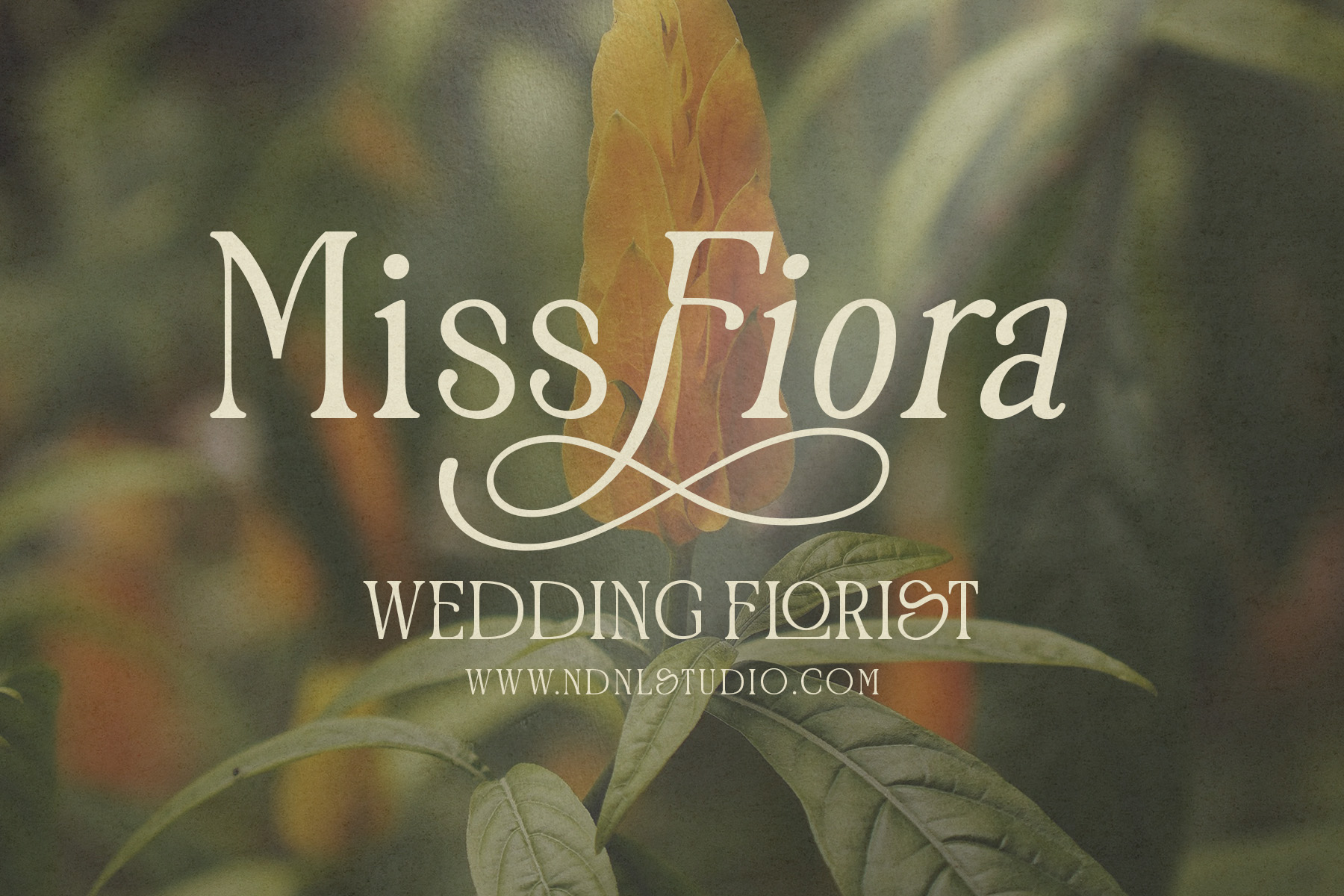 Garesin - Serif Font Garesin - Serif Font - Image 4