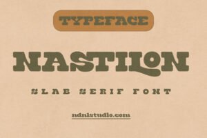 Nastilon - Slab Serif Font