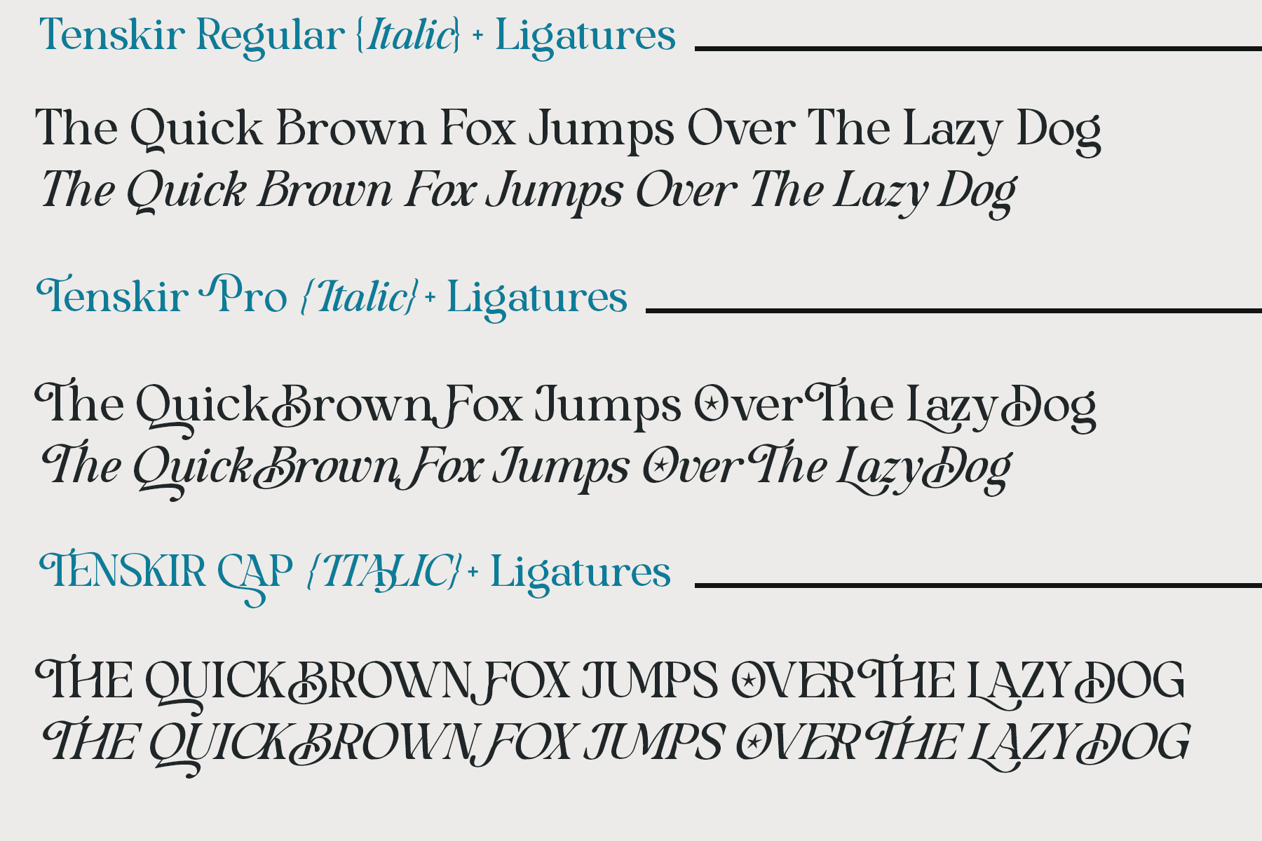 Tenskir - Serif Font Tenskir - Serif Font - Image 8