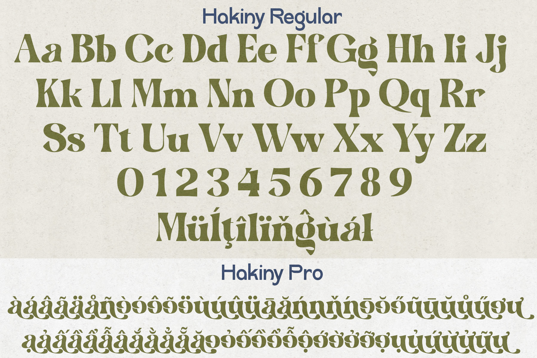 Hakiny - Serif Font Hakiny - Serif Font - Image 8