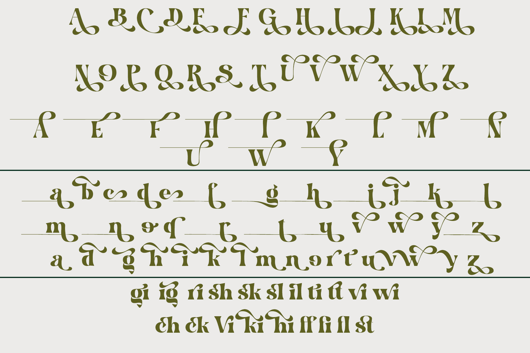 Hakiny - Serif Font Hakiny - Serif Font - Image 9
