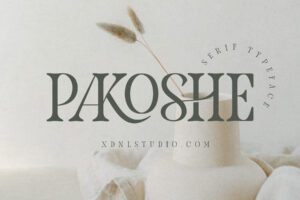 HOME Pakoshe - Serif Font