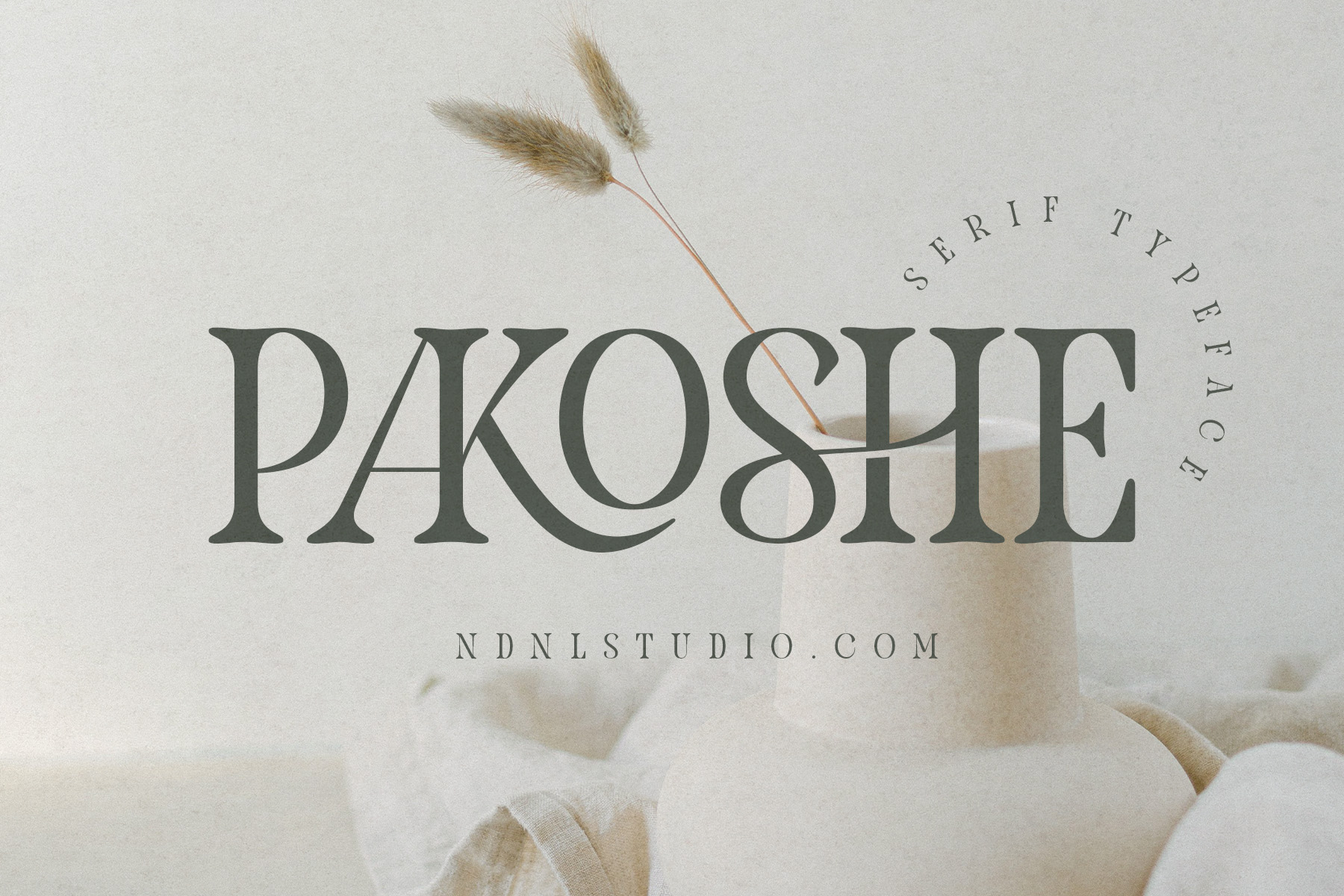 Pakoshe - Serif Font Pakoshe - Serif Font