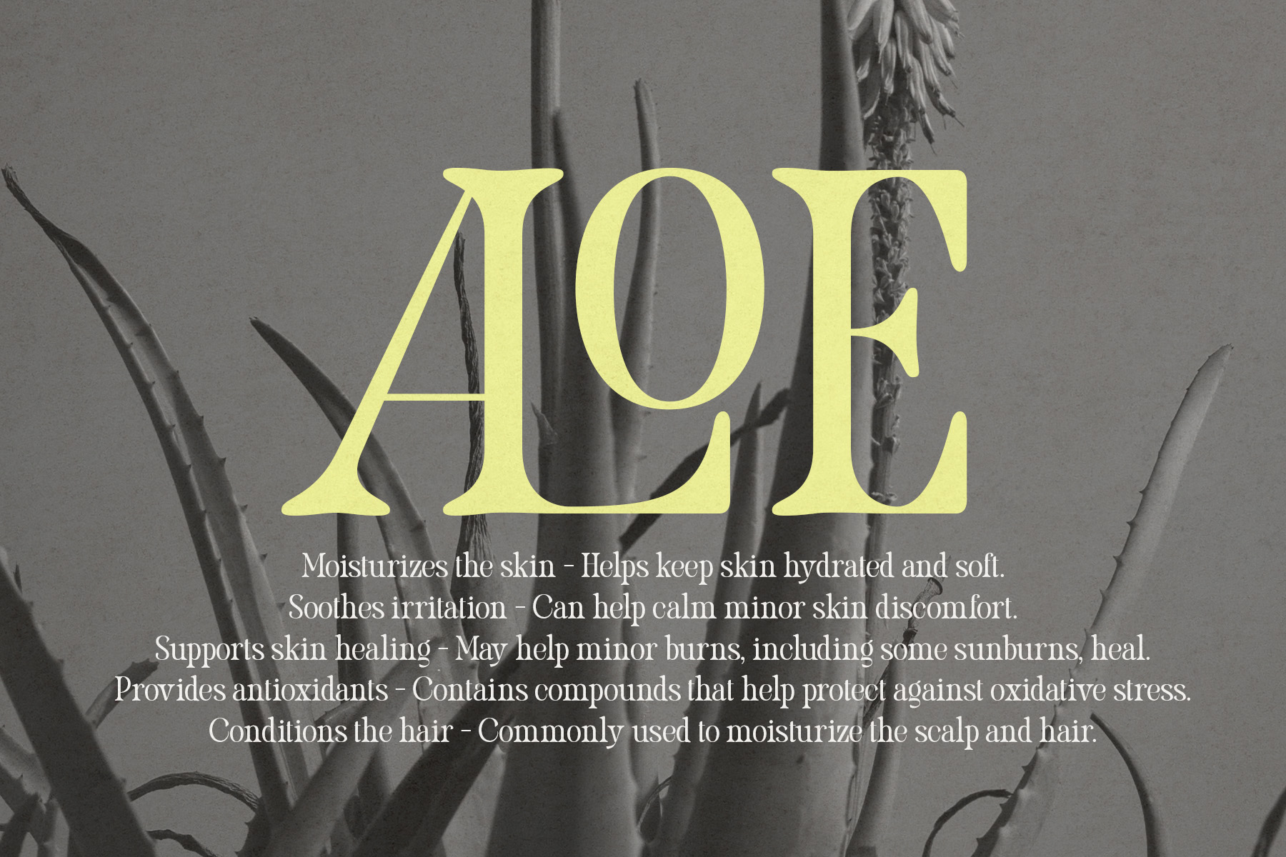 Pakoshe - Serif Font Pakoshe - Serif Font - Image 2